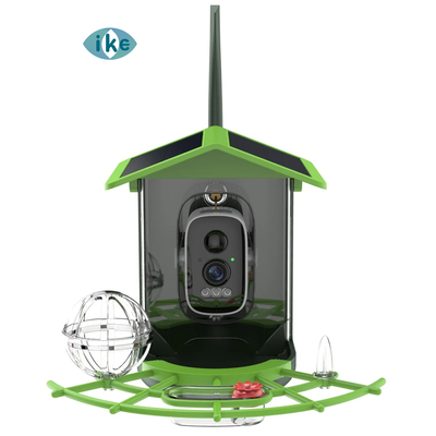 IKevision ICSEE Wifi Bird AI Recognition Feeder Solar Camera